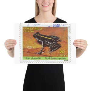 Vintage 1986 Costa Rica Correos Postal Stamp Poster